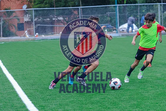 IMG_0901.jpg